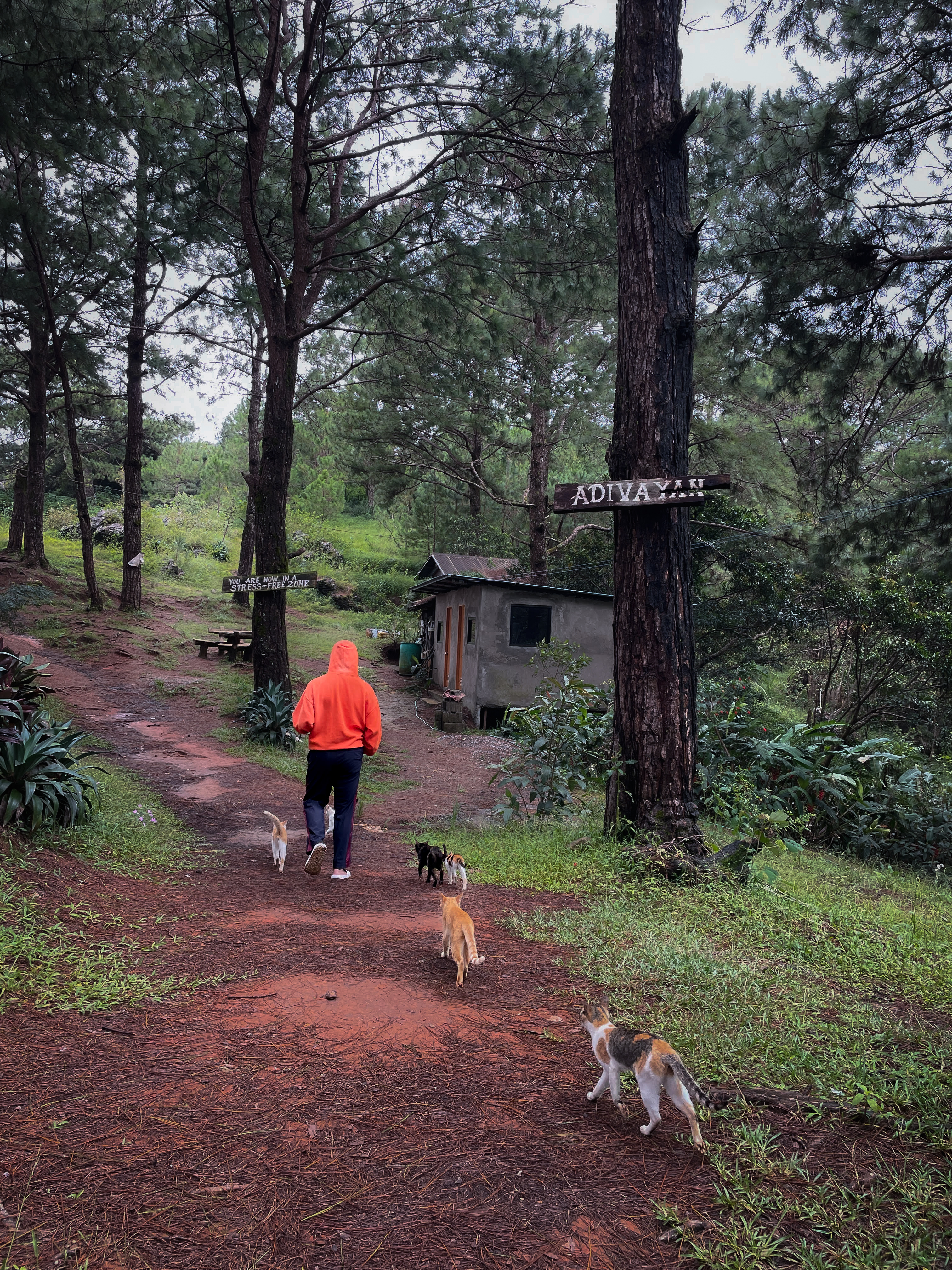 About Amos Sean Lopez